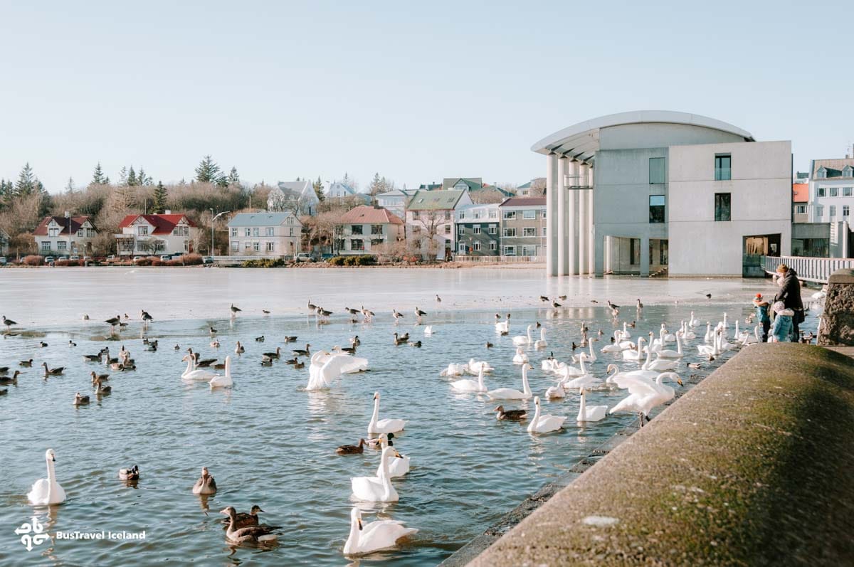 Reykjavik City Tour